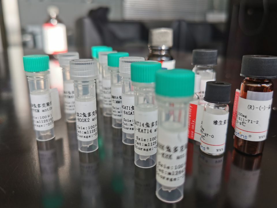 NOS2抗原（重組蛋白）