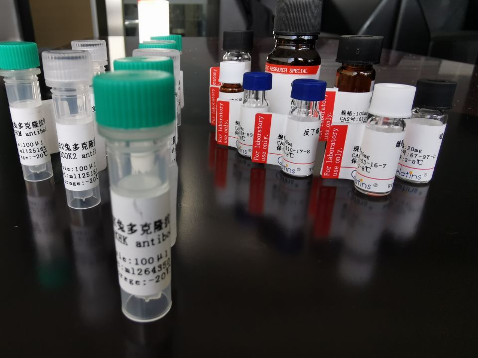 UTP4 抗原（重組蛋白）