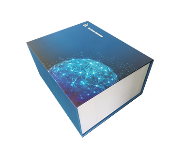 果糖-1,6-二磷酸(FDP)測試盒(分光光度法/48樣)