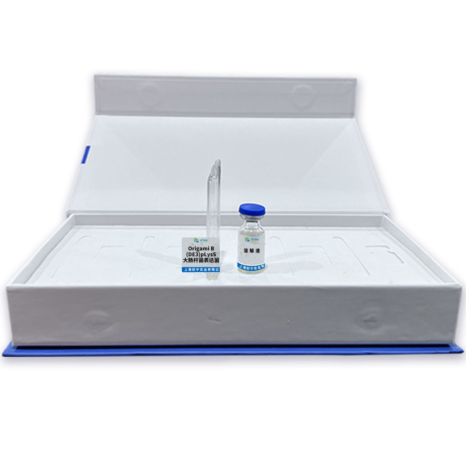 Origami B(DE3)pLysS大腸桿菌表達菌