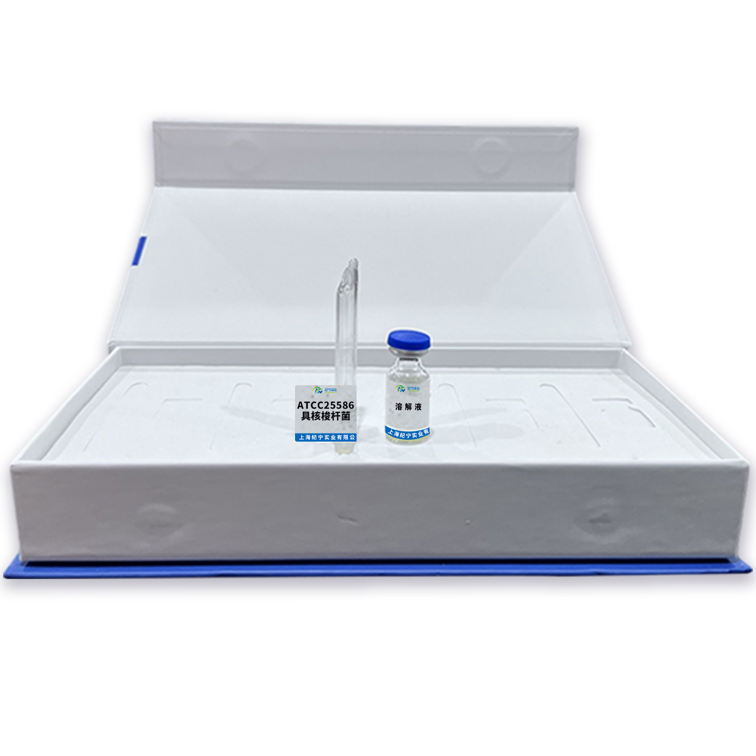 ATCC25586具核梭桿菌