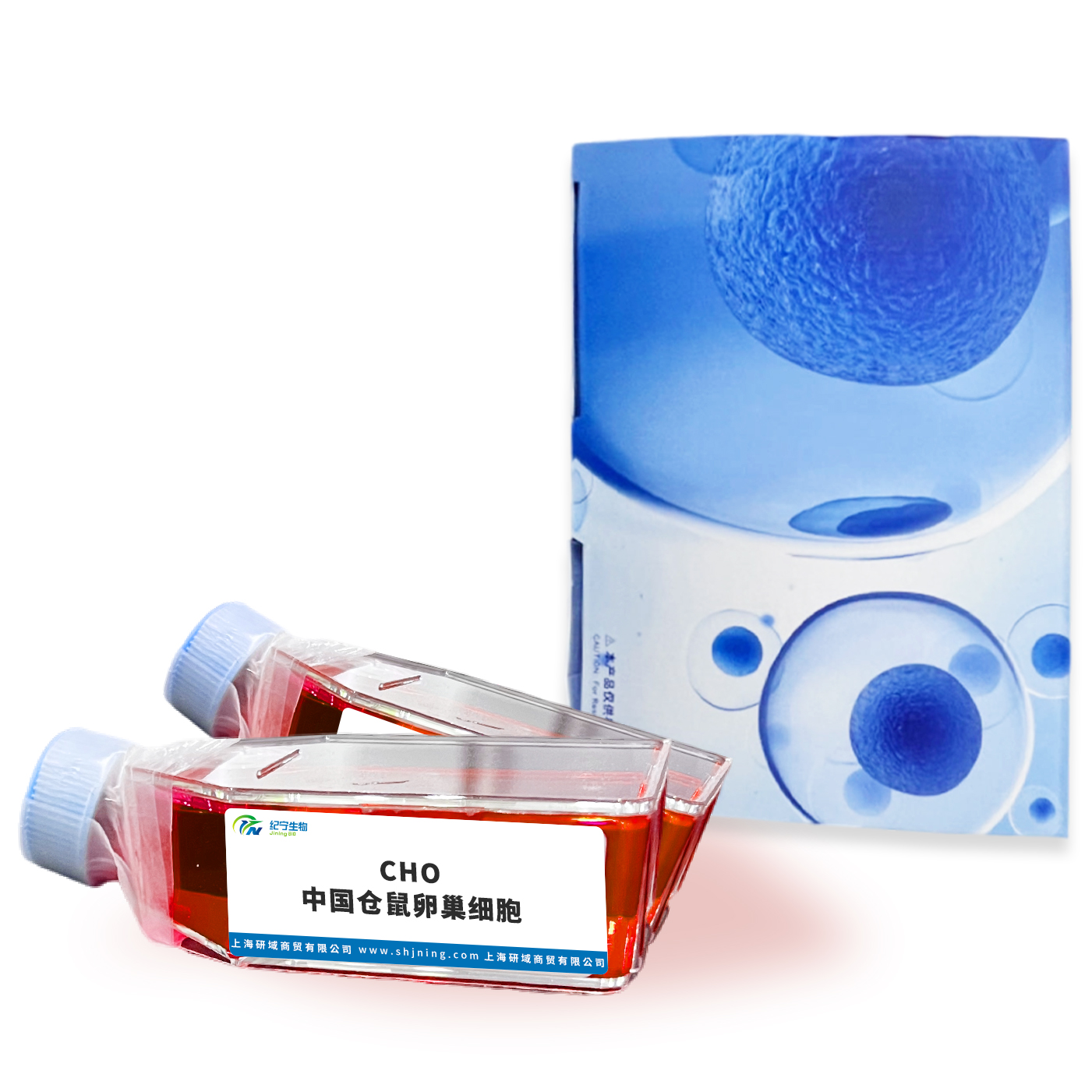 CHO中國倉鼠卵巢細胞