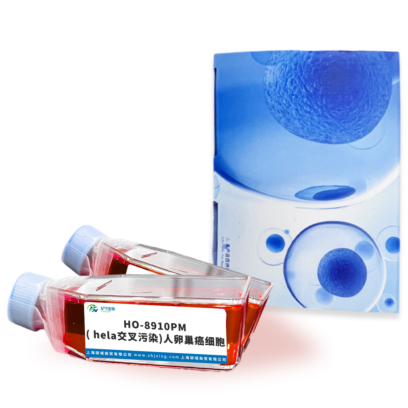 HO-8910PM( hela交叉污染)人卵巢癌細胞