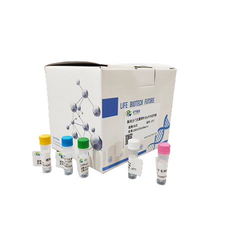 人乳頭瘤病毒43探針法qPCR試劑盒