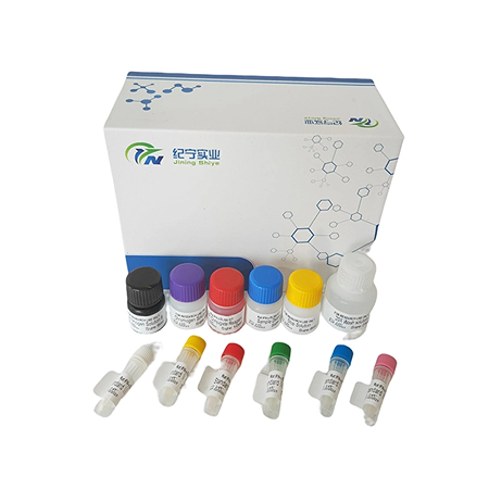 人細胞色素P45011B1(CYP11B1)ELISA試劑盒